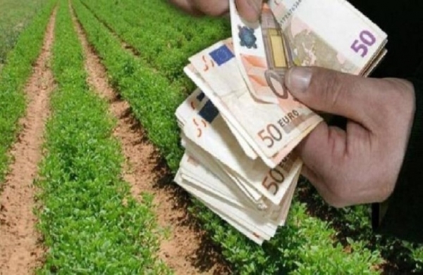 ΟΣΔΕ 2021: Τι ισχύει για ιδιόκτητα και μη αγροτεμάχια