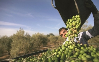 ETEπ: Δανειακές συμβάσεις 300 εκατ.ευρώ για στήριξης γεωργίας- ενέργειας