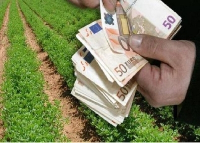 Επιστολή σχετικά με την πρόσφατη τροπολογία καθορισμού ζητημάτων της υποβολής Ενιαίας Αίτησης Ενίσχυσης.