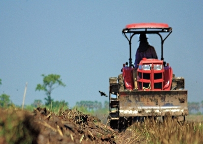 Αγρότες: Στο στόχαστρο επιτήδειων δικαιούχοι προγραμμάτων