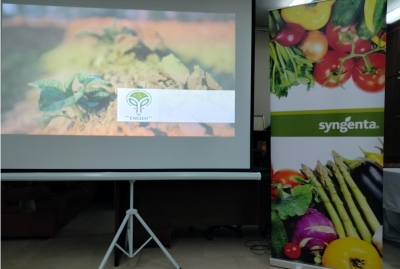 Σύγχρονες λύσεις φυτοπροστασίας για την καλλιέργεια της πατάτας