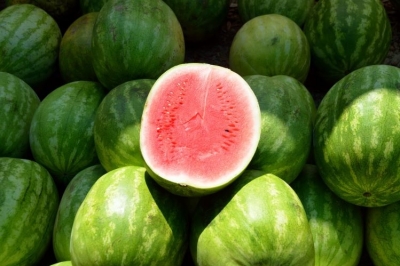 «Γλυκόπικρο» ξεκίνημα για το καρπούζι